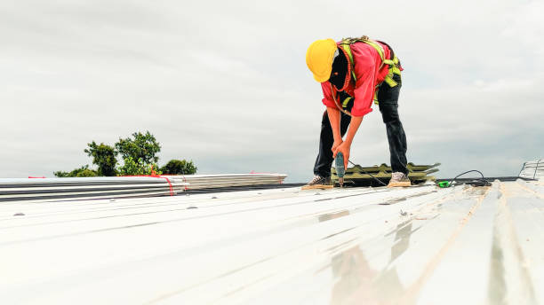 Best Chimney Flashing Repair  in New Milford, NJ